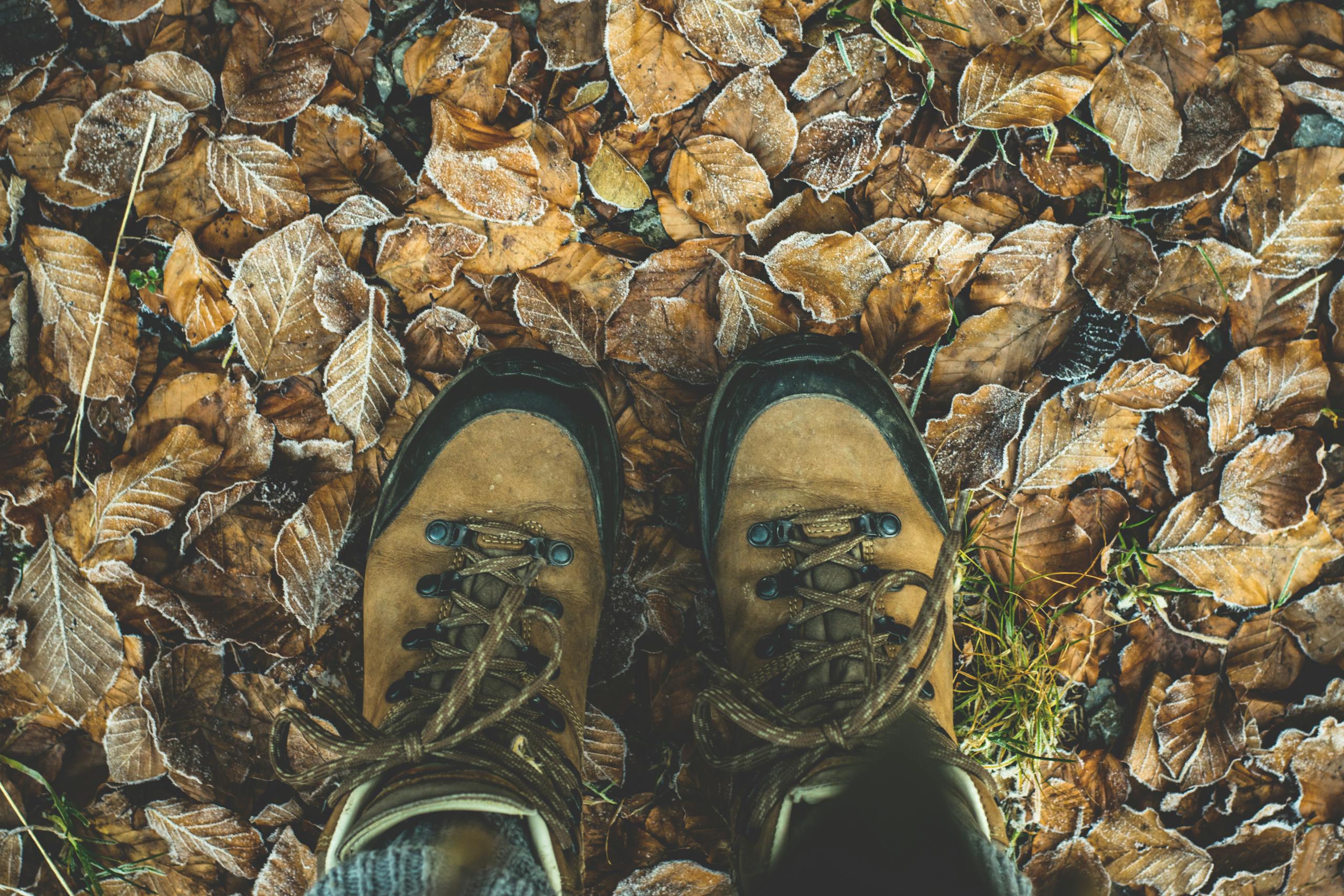 Low Section of Man Standing on Autumn Leaves